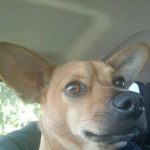 Meet your Posher, Debby